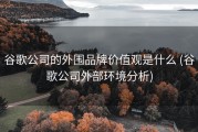 谷歌公司的外围品牌价值观是什么 (谷歌公司外部环境分析)