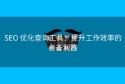 SEO 优化查询工具：提升工作效率的必备利器