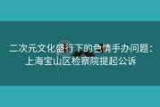 二次元文化盛行下的色情手办问题：上海宝山区检察院提起公诉