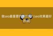 做seo最重要的是什么? (seo效果最好的是)