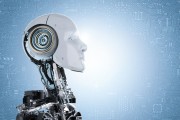 robots协议影响