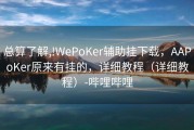 总算了解,!WePoKer辅助挂下载，AAPoKer原来有挂的，详细教程（详细教程）-哔哩哔哩