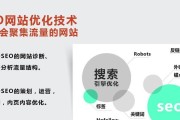 极速seo排名的方法！ 什么是极速排名 (seo快速排名软件平台)