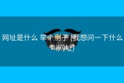 网址是什么 举个例子 (我想问一下什么叫网址)