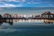 为什么现在很多青少年是二次元控 (为什么现在很多人都不想结婚了)