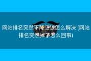 网站排名突然下降应该怎么解决 (网站排名突然掉了怎么回事)