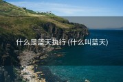 什么是蓝天执行 (什么叫蓝天)