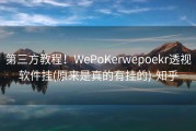 第三方教程！WePoKerwepoekr透视软件挂(原来是真的有挂的)-知乎
