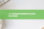 ALT标签应放在哪里 网站内容页优化 (alt 标签)