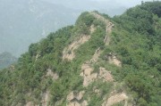 北京有哪些森林公园 (北京有哪些森林公园好玩)