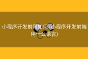 小程序开发前景如何 (小程序开发前端用什么语言)