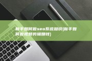 新手如何做seo系统知识 (新手如何做视频剪辑赚钱)