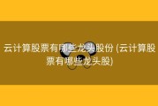 云计算股票有哪些龙头股份 (云计算股票有哪些龙头股)
