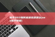 新手SEO如何极速搭建建站 (seo新手教程)