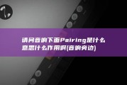 请问音响下面Pairing是什么意思 什么作用啊 (音响旁边)