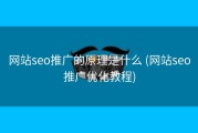网站seo推广的原理是什么 (网站seo推广优化教程)