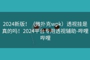 2024新版！（微扑克wpk）透视挂是真的吗！2024平台专用透视辅助-哔哩哔哩