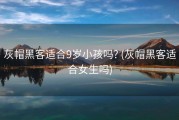 灰帽黑客适合9岁小孩吗? (灰帽黑客适合女生吗)