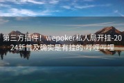 第三方插件！wepoker私人局开挂-2024新普及确实是有挂的-哔哩哔哩