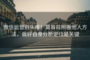 微信运营别头疼！莫盲目照搬他人方法，做好自身分析定位是关键
