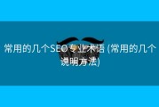 常用的几个SEO专业术语 (常用的几个说明方法)