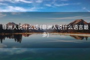 非洲人说什么话 (非洲人说什么语言最多)