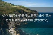 优化 请问他们是什么意思 cdr中导出图片有两个选项进程 (优化优化)