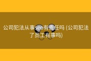 公司犯法从事seo有责任吗 (公司犯法了员工有事吗)