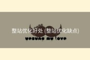 整站优化好处 (整站优化缺点)