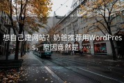 想自己建网站？奶爸推荐用WordPress，原因竟然是……