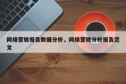 网络营销报告数据分析，网络营销分析报告范文