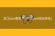 武汉seo哪家好 (武汉seo网站排名)