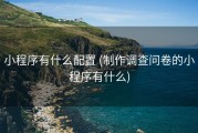 小程序有什么配置 (制作调查问卷的小程序有什么)