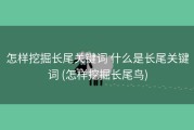 怎样挖掘长尾关键词 什么是长尾关键词 (怎样挖掘长尾鸟)