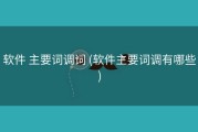 软件 主要词调词 (软件主要词调有哪些)