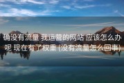 确没有流量 我运营的网站 应该怎么办呢 现在有了权重 (没有流量怎么回事)
