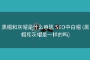 黑帽和灰帽是什么意思 SEO中白帽 (黑帽和灰帽是一样的吗)
