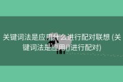 关键词法是应用什么进行配对联想 (关键词法是应用()进行配对)