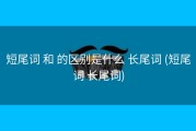 短尾词 和 的区别是什么 长尾词 (短尾词 长尾词)