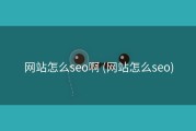 网站怎么seo啊 (网站怎么seo)