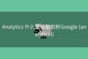 Analytics 什么是谷歌剖析Google (analytical)