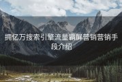 拥亿万搜索引擎流量霸屏营销营销手段介绍