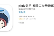 P站助手使用指南：登录、下载及人气作品浏览相关说明