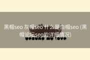 黑帽seo 灰帽seo 什么是白帽seo (黑帽论坛seo的详细情况)