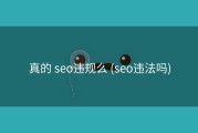 真的 seo违规么 (seo违法吗)