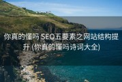 你真的懂吗 SEO五要素之网站结构提升 (你真的懂吗诗词大全)