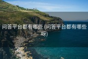 问答平台都有哪些 (问答平台都有哪些呀)