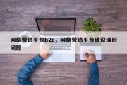 网络营销平台b2c，网络营销平台建设滞后问题