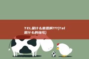 TEL是什么意思啊??? (Tel是什么的缩写)