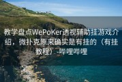 教学盘点WePoKer透视辅助挂游戏介绍，微扑克原来确实是有挂的（有挂教程）-哔哩哔哩